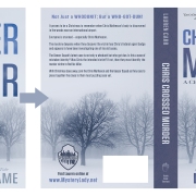 Artful-Cover_premade-book-covers_Before-and-After_Murder-in-the-Winter