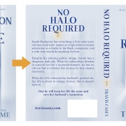 Artful-Cover_premade-book-covers_Before-and-After_Obstruction-of-Justice