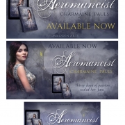 Artful-Cover_promo-graphics_Charmaine-Pauls_7-Forbidden-Arts_03-Aeromancist