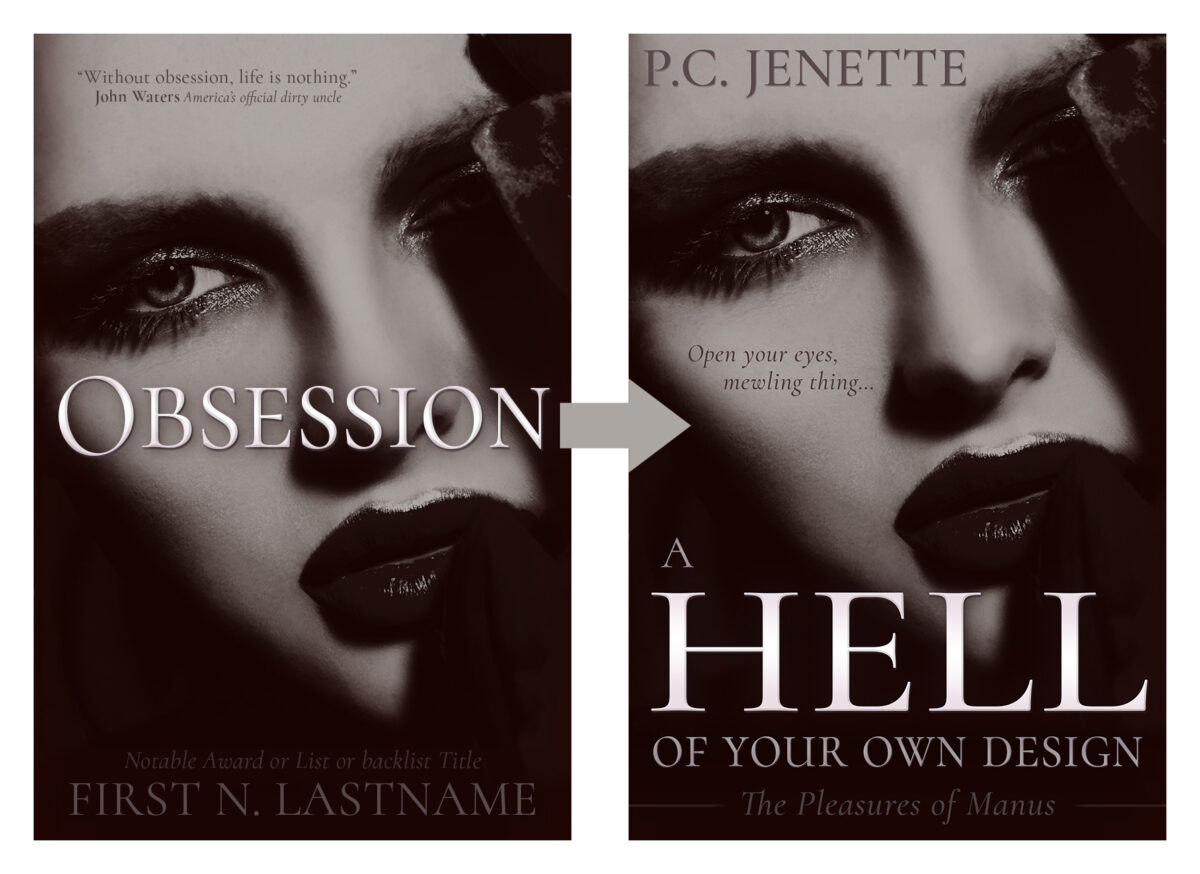 premade book cover design by Los Angeles book cover designer Artful Cover - premade book covers before and after with ebook covers and paperback cover designs