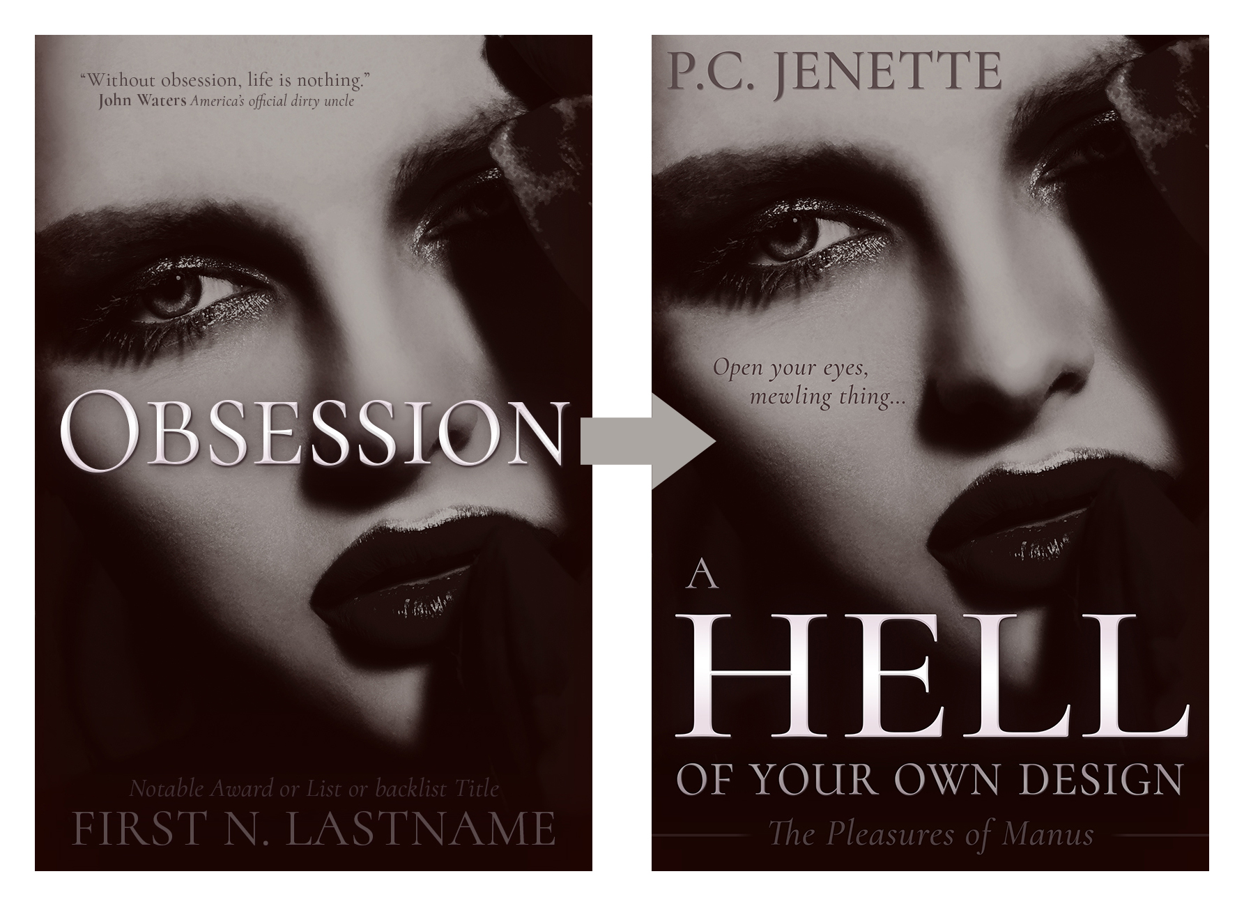 premade book cover design by Los Angeles book cover designer Artful Cover - premade book covers before and after with ebook covers and paperback cover designs