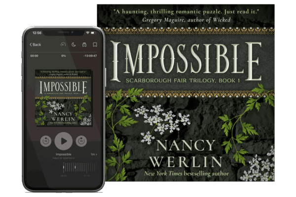 audiobook cover design by Artful Cover - Los Angeles graphic designer specializing in book cover design for self-publishing indie authors