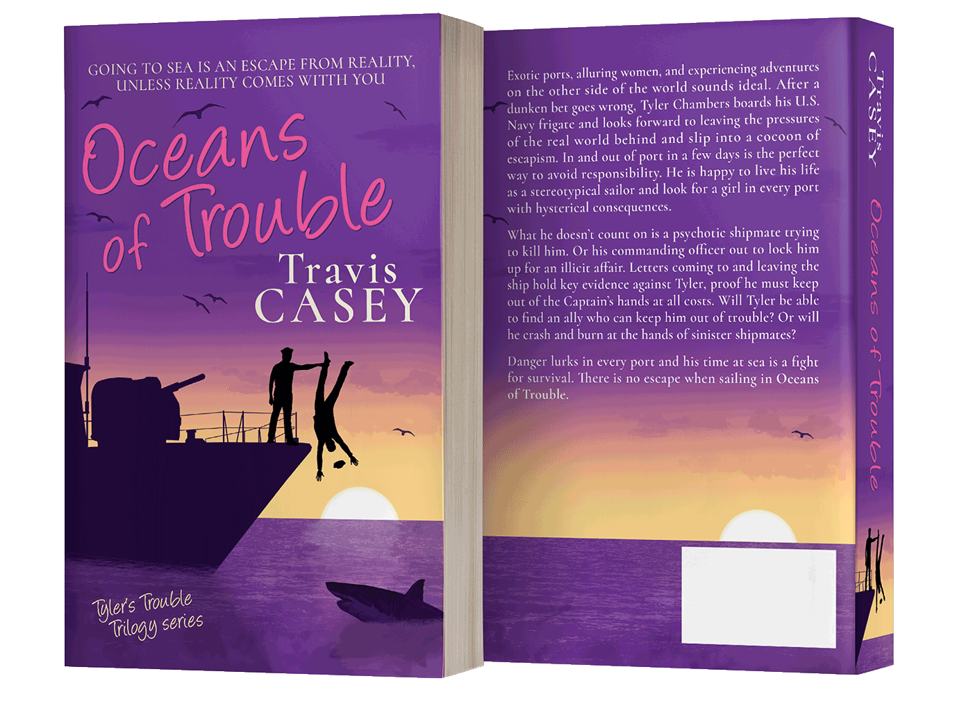 paperback book cover design by Artful Cover - Los Angeles graphic designer specializing in book cover design for self-publishing indie authors