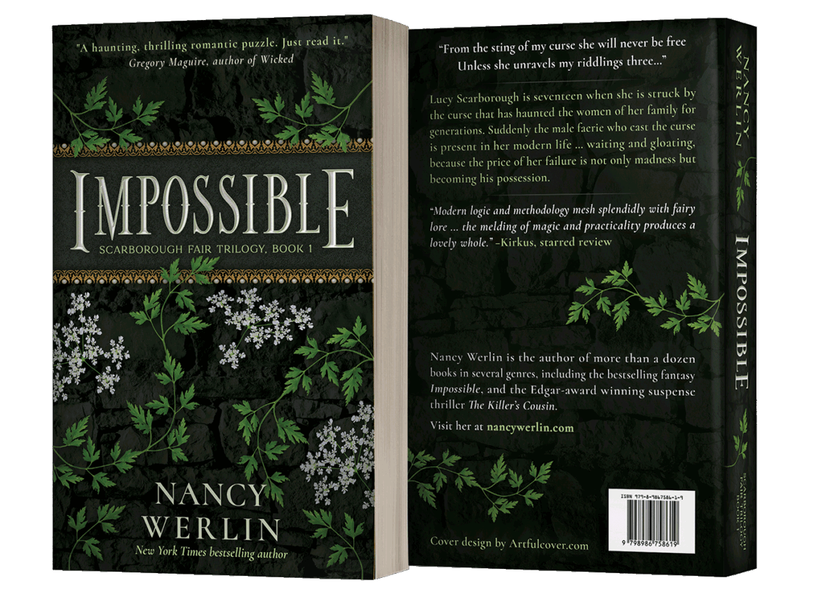paperback book cover design by Artful Cover - Los Angeles graphic designer specializing in book cover design for self-publishing indie authors