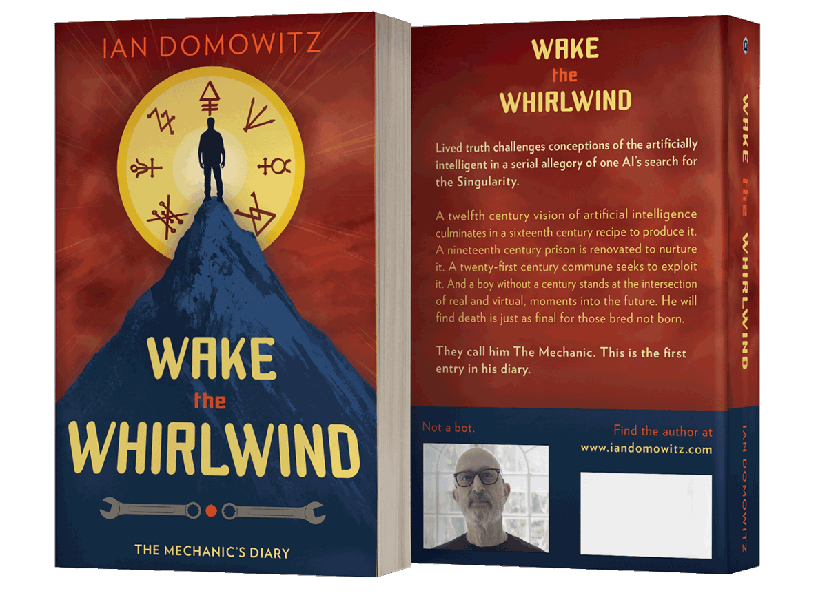 paperback book cover design by Artful Cover - Los Angeles graphic designer specializing in book cover design for self-publishing indie authors