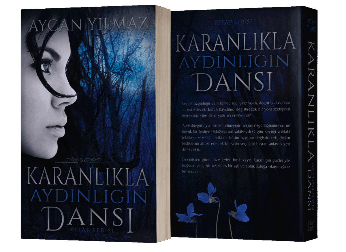 paperback book cover design by Artful Cover - Los Angeles graphic designer specializing in book cover design for self-publishing indie authors
