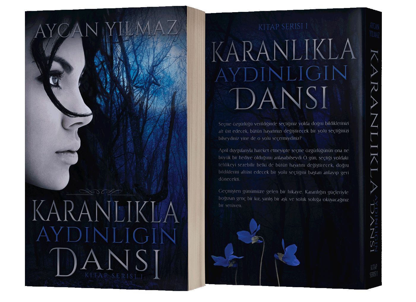 paperback book cover design by Artful Cover - Los Angeles graphic designer specializing in book cover design for self-publishing indie authors