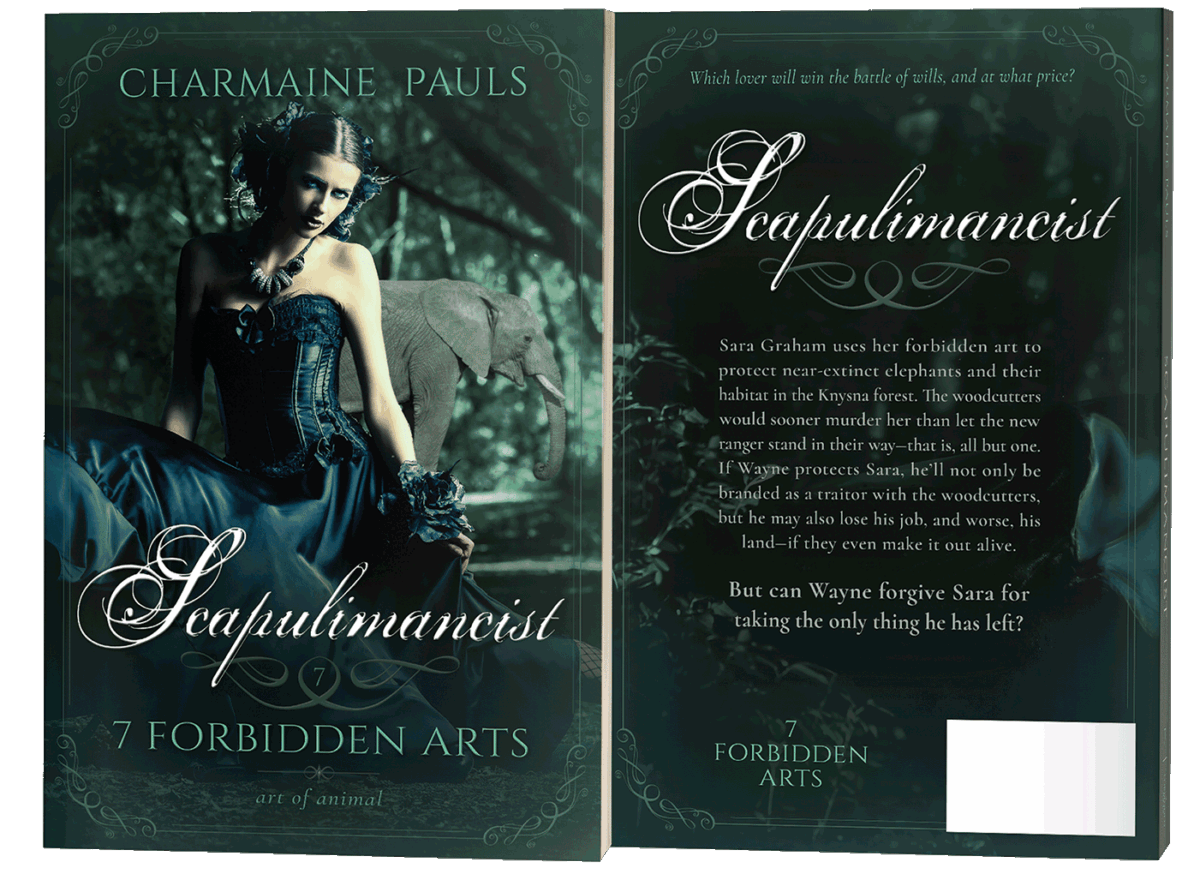 paperback book cover design by Artful Cover - Los Angeles graphic designer specializing in book cover design for self-publishing indie authors