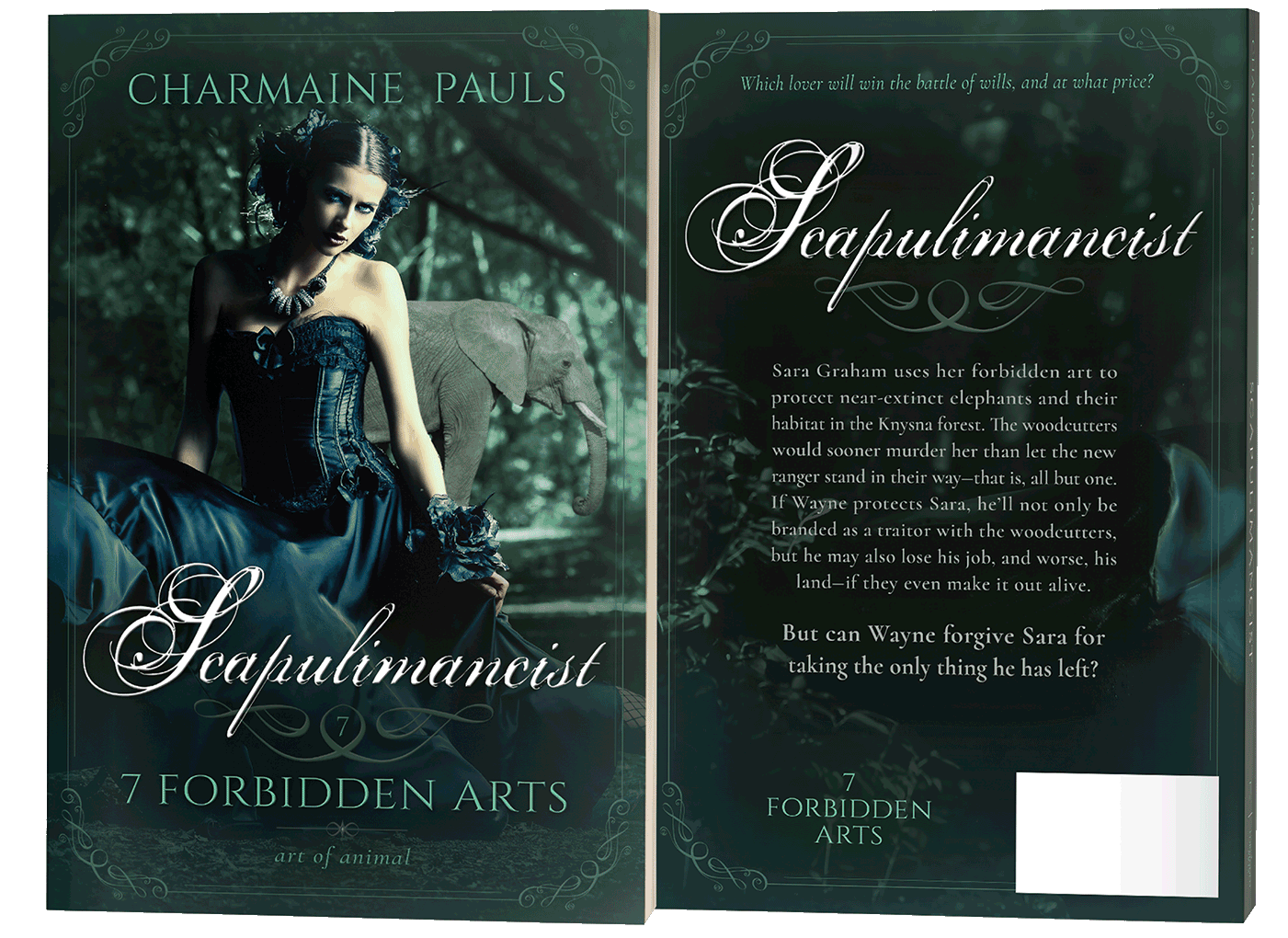 paperback book cover design by Artful Cover - Los Angeles graphic designer specializing in book cover design for self-publishing indie authors