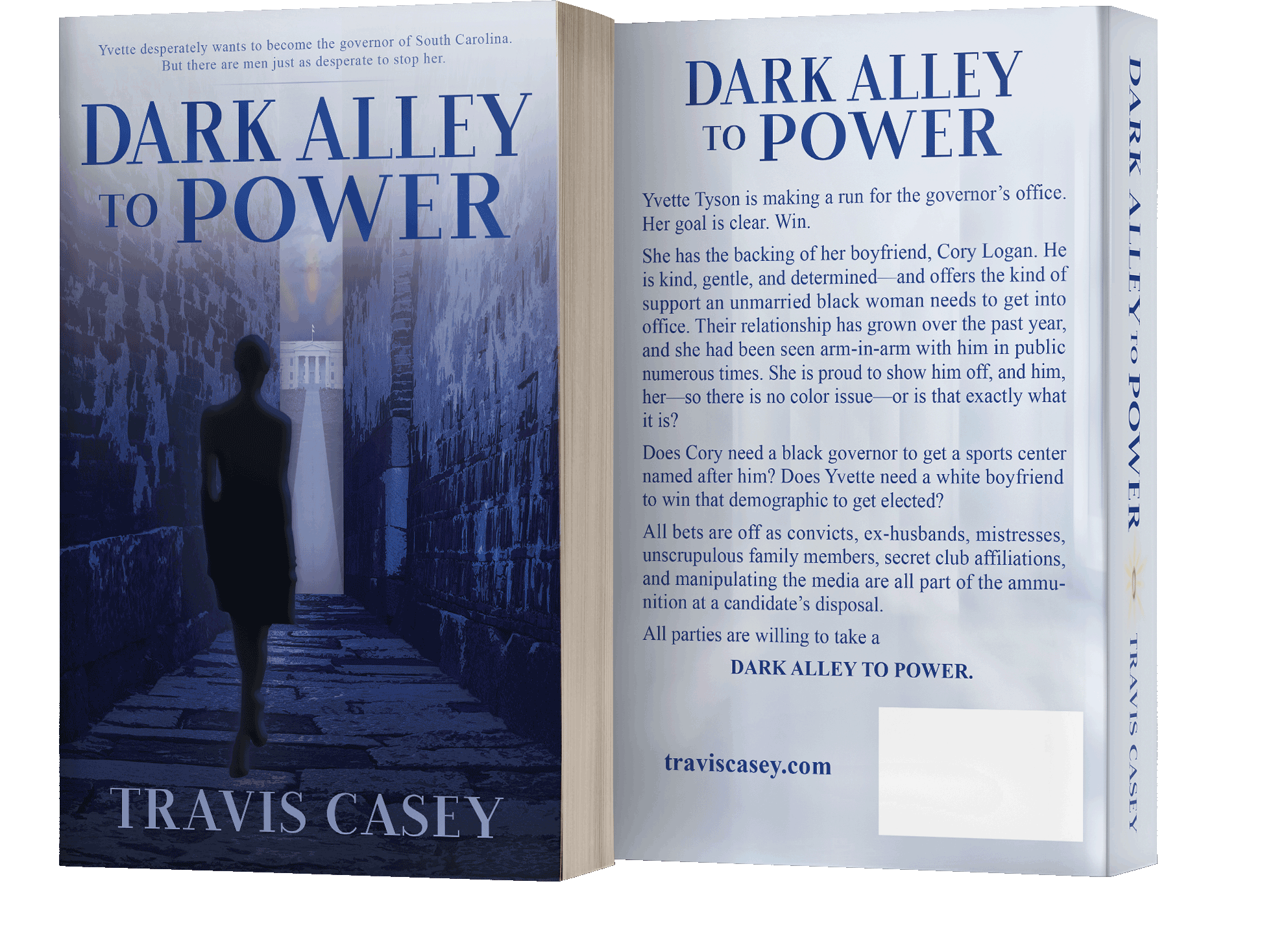 Book series branding design by Los Angeles book cover designer Artful Cover - consistent compelling branding on ebook covers, paperbacks, and marketing graphics for book series marketing, author branding, and social media promotion