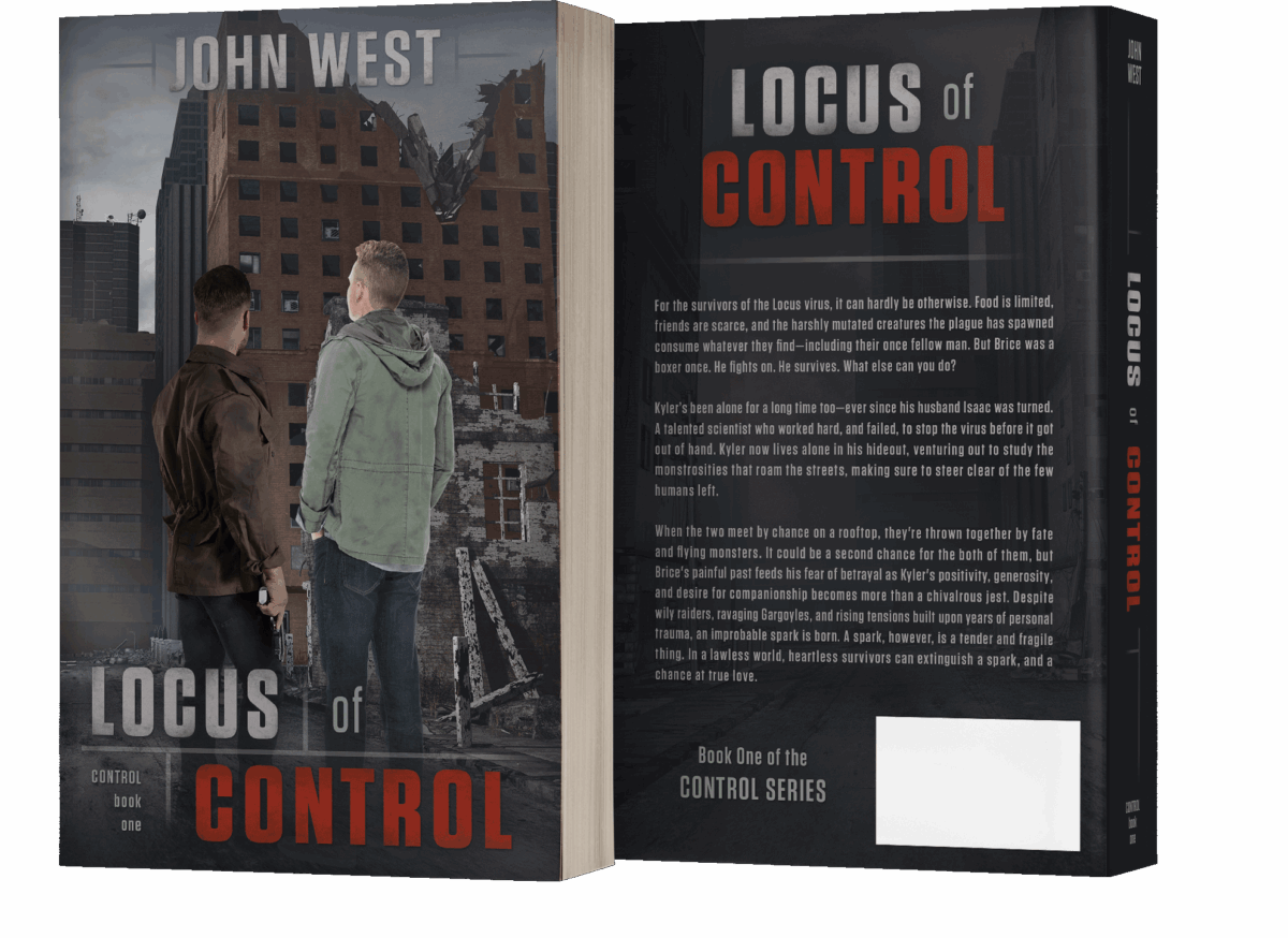 Book series branding design by Los Angeles book cover designer Artful Cover - consistent compelling branding on ebook covers, paperbacks, and marketing graphics for book series marketing, author branding, and social media promotion