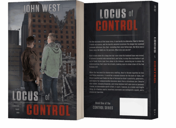 Book series branding design by Los Angeles book cover designer Artful Cover - consistent compelling branding on ebook covers, paperbacks, and marketing graphics for book series marketing, author branding, and social media promotion