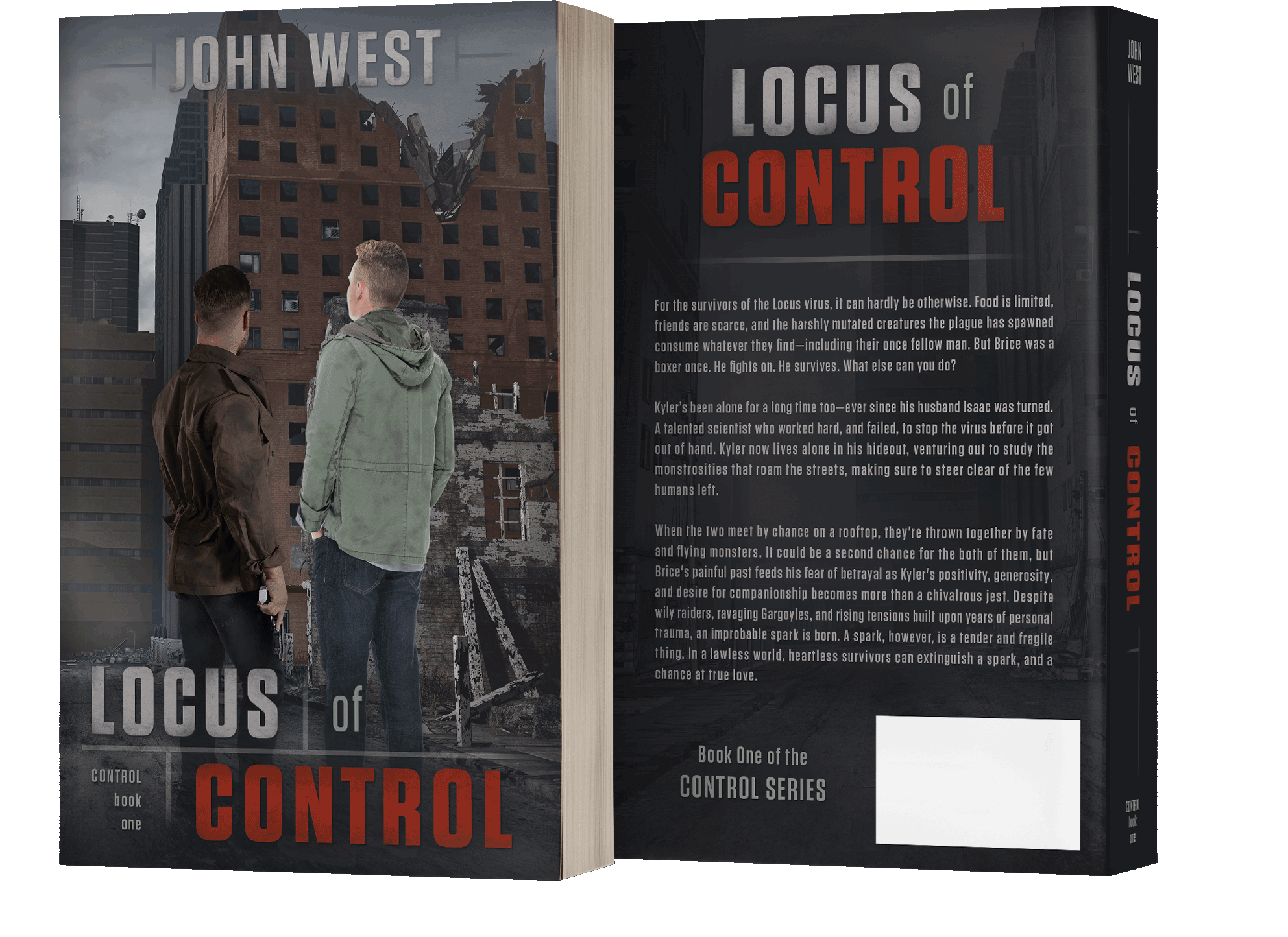 Book series branding design by Los Angeles book cover designer Artful Cover - consistent compelling branding on ebook covers, paperbacks, and marketing graphics for book series marketing, author branding, and social media promotion