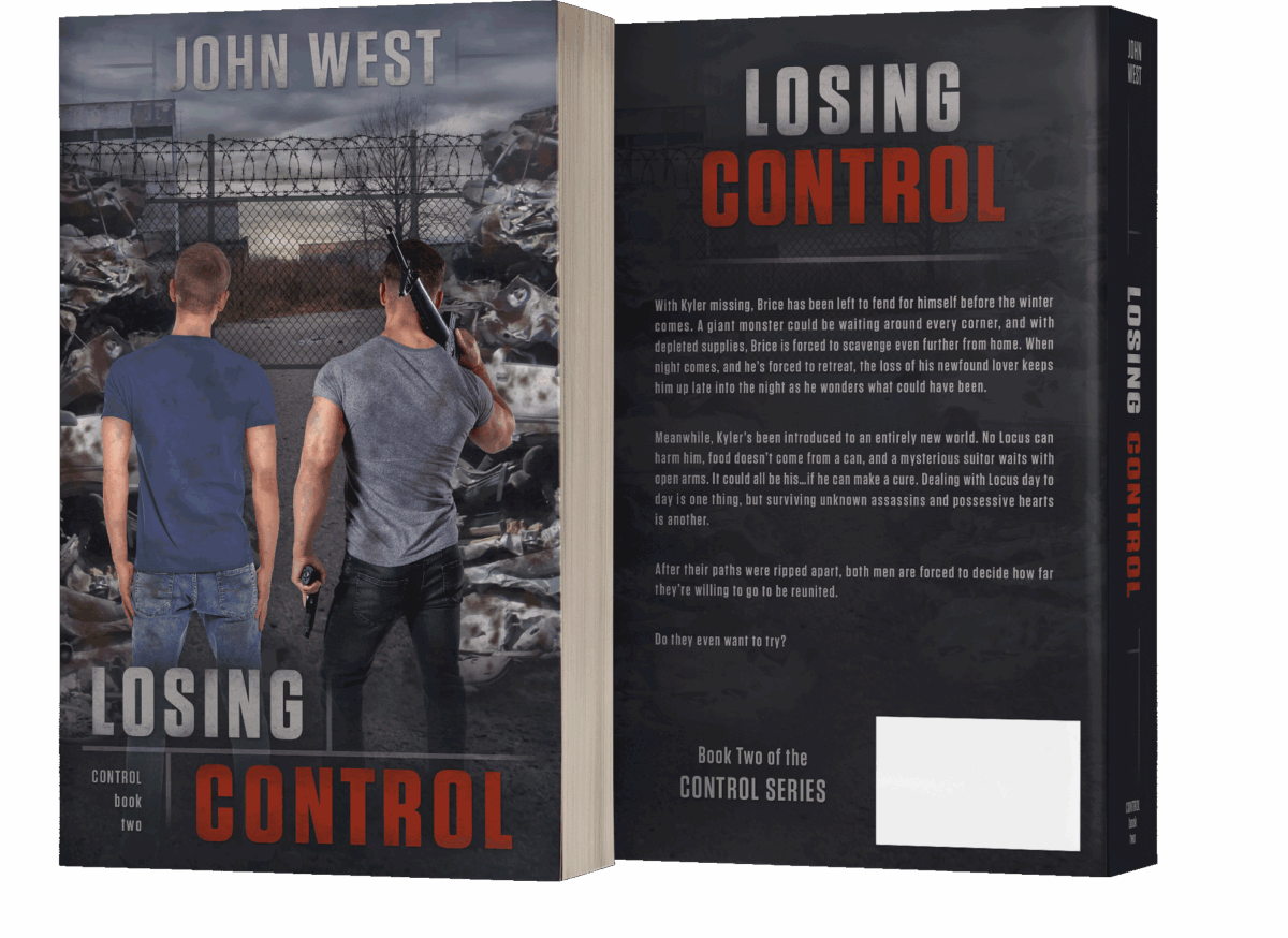 Book series branding design by Los Angeles book cover designer Artful Cover - consistent compelling branding on ebook covers, paperbacks, and marketing graphics for book series marketing, author branding, and social media promotion