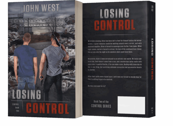 Book series branding design by Los Angeles book cover designer Artful Cover - consistent compelling branding on ebook covers, paperbacks, and marketing graphics for book series marketing, author branding, and social media promotion