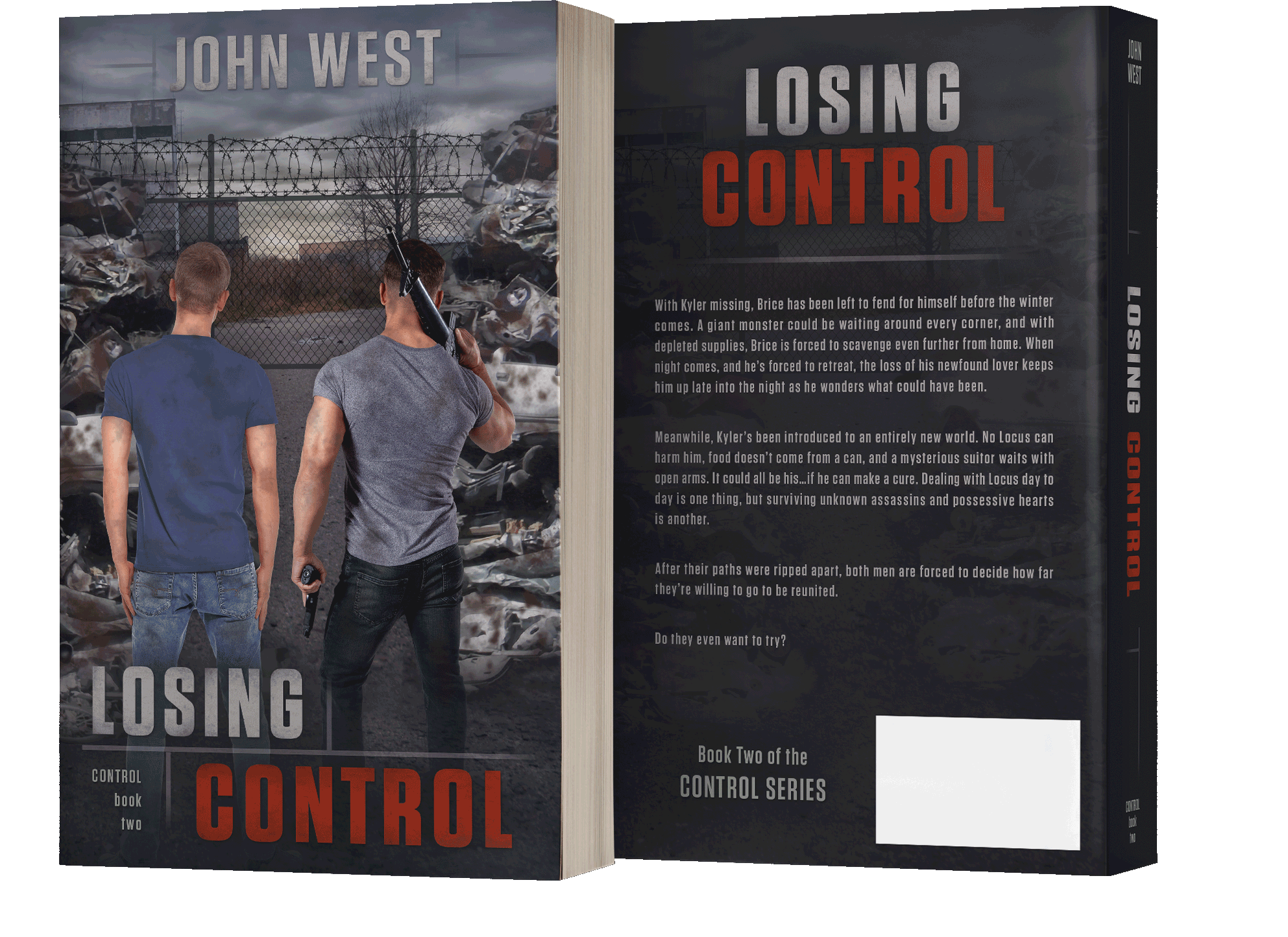 Book series branding design by Los Angeles book cover designer Artful Cover - consistent compelling branding on ebook covers, paperbacks, and marketing graphics for book series marketing, author branding, and social media promotion