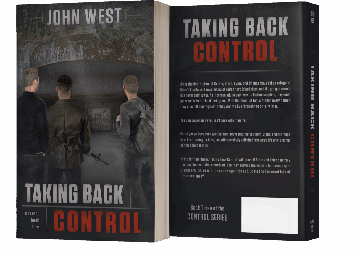 Book series branding design by Los Angeles book cover designer Artful Cover - consistent compelling branding on ebook covers, paperbacks, and marketing graphics for book series marketing, author branding, and social media promotion