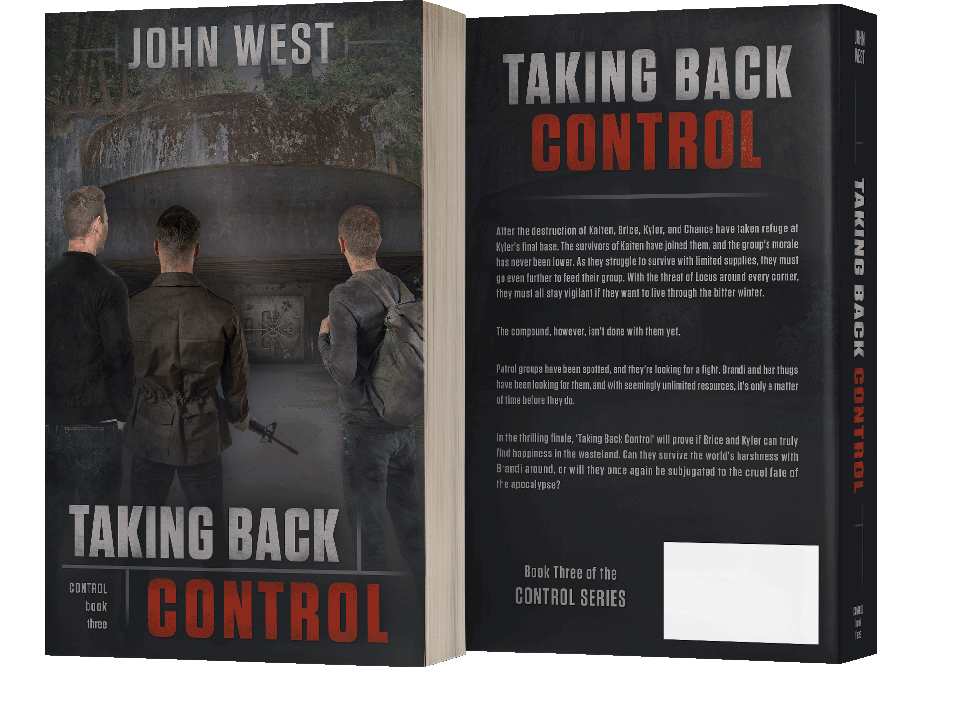 Book series branding design by Los Angeles book cover designer Artful Cover - consistent compelling branding on ebook covers, paperbacks, and marketing graphics for book series marketing, author branding, and social media promotion