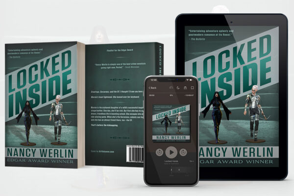 Suspense/ thriller book series branding by Artful Cover - thriller titles by Nancy Werlin - examples of suspense / thriller book cover design, audiobook cover design, and paperback cover design