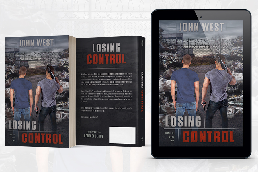 Book series branding by Artful Cover - title by John West - examples of book cover design and paperback cover design